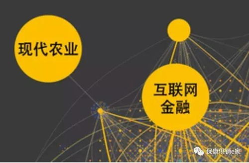 互聯網+農產品業態 保康供銷社以“五有”模式助力鄉村振興